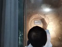 -南越王博物院(王宫展区)