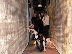 -棂笼·深度沉浸密室(武汉旗舰店)