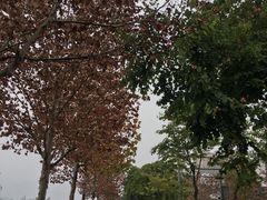 -金海湾滨江公园