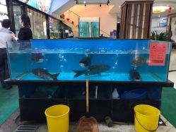 -东庭海鲜酒店(世茂广场店)