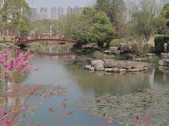 -桃花岭景区