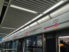 -大龙山(地铁站)