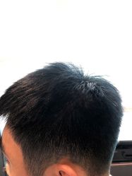 点击看大图 -藤野造型