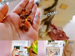 -Husky Go! 哈士奇体验馆·宠物咖啡厅狗咖