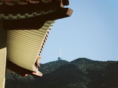 -深圳仙湖植物园