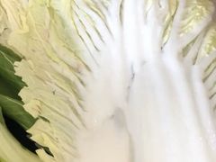 大白菜-楼外楼肥羊木炭火锅居(乐群街店)