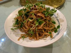 -食家鸽园