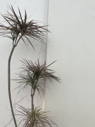 -MT·ID 烫发.染发.接发SALON