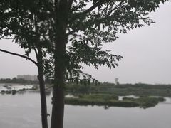 -灞河西岸滨河公园
