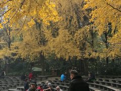 -成都市活水公园
