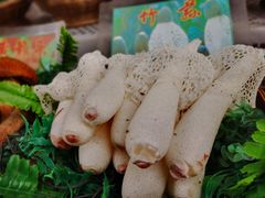 -佳缘野生菌食府
