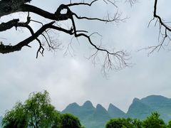 -村上春树