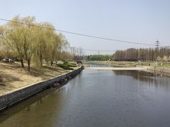 -羊亭河湿地公园