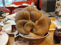 -好彩猪肚鸡(正弘城店)