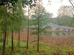 -雀儿山公园