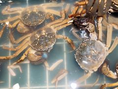 -九月海·海鲜自助(世纪东方店)