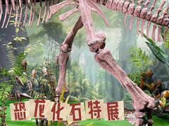 -遇见博物馆(遇见海洋沉浸式奇幻光影展)