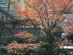 -弄堂里(阿里西溪A区店)
