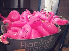 -Flamingo Bloom(TST /尖沙咀店)