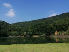 -酒仙湖景区