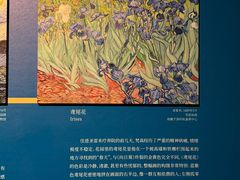 -广东省博物馆