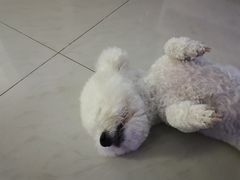 -美联众合24小时·皮肤科·外科·全科诊疗中心(华苑分院)