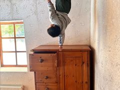 -金山农民画村-枫泾波兰倒置屋