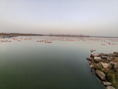 -天津东丽湖风景区