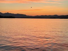 -柳莺湖上·湖景餐厅·江南菜(西湖店)