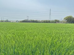 -嘉北郊野公园