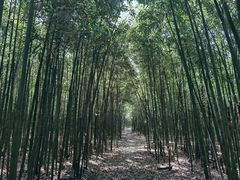 -同里国家湿地公园