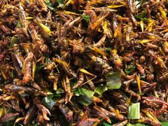 -席娜卡琳火车铁道夜市