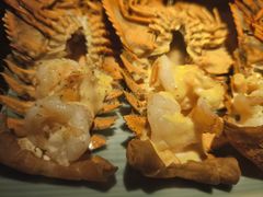 -京料理·日料自助·铁板燒(复悦城店)