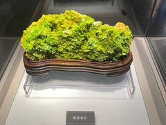 -安徽省地质博物馆