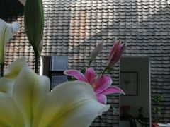 -瓦库茶馆17号(海汇港店)