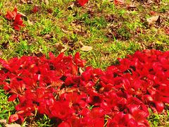 -华南师范大学(广州大学城校区)