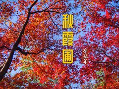 -秋霞圃