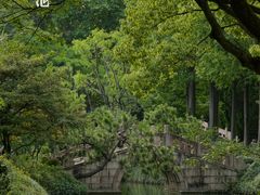 -上海醉白池公园