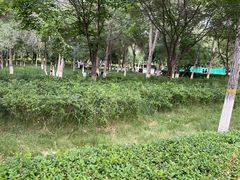 -鲤鱼山公园