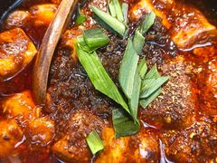 陈麻婆豆腐-陈麻婆豆腐(旗舰店)