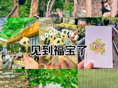 -卧龙中华大熊猫苑神树坪基地