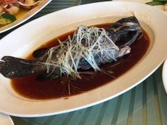 -中国坊中餐厅(石家庄希尔顿酒店)