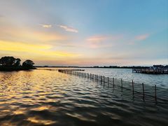 -鹅湖玫瑰文化园