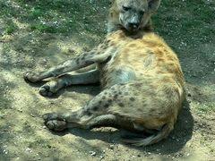 -北京野生动物园