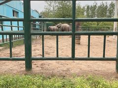 -秦皇岛野生动物园