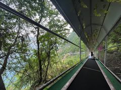 -仙岛湖旅游风景区