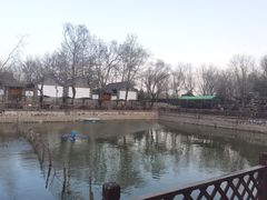 -尚庄度假村·庭台树下·户外烧烤·团建CS·轰趴营地(上庄水库店)