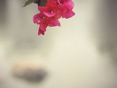 -海珠湖公园