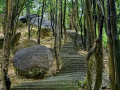 -火炉山森林公园
