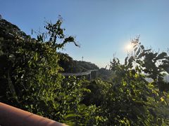 -金鸡山公园